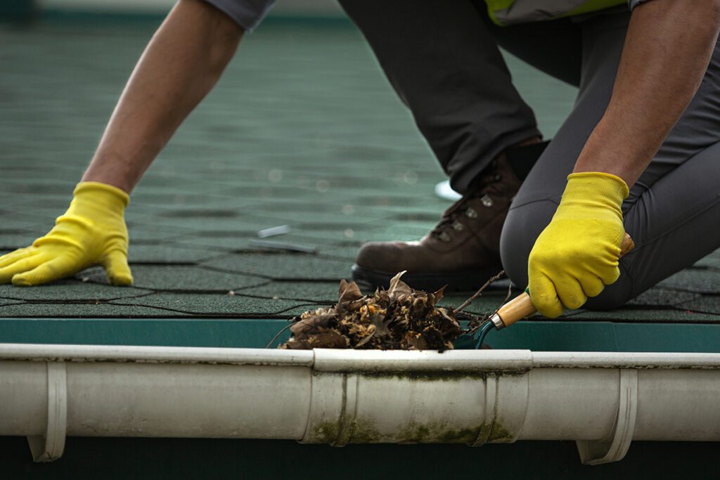 Importance of regular Gutter Cleaning