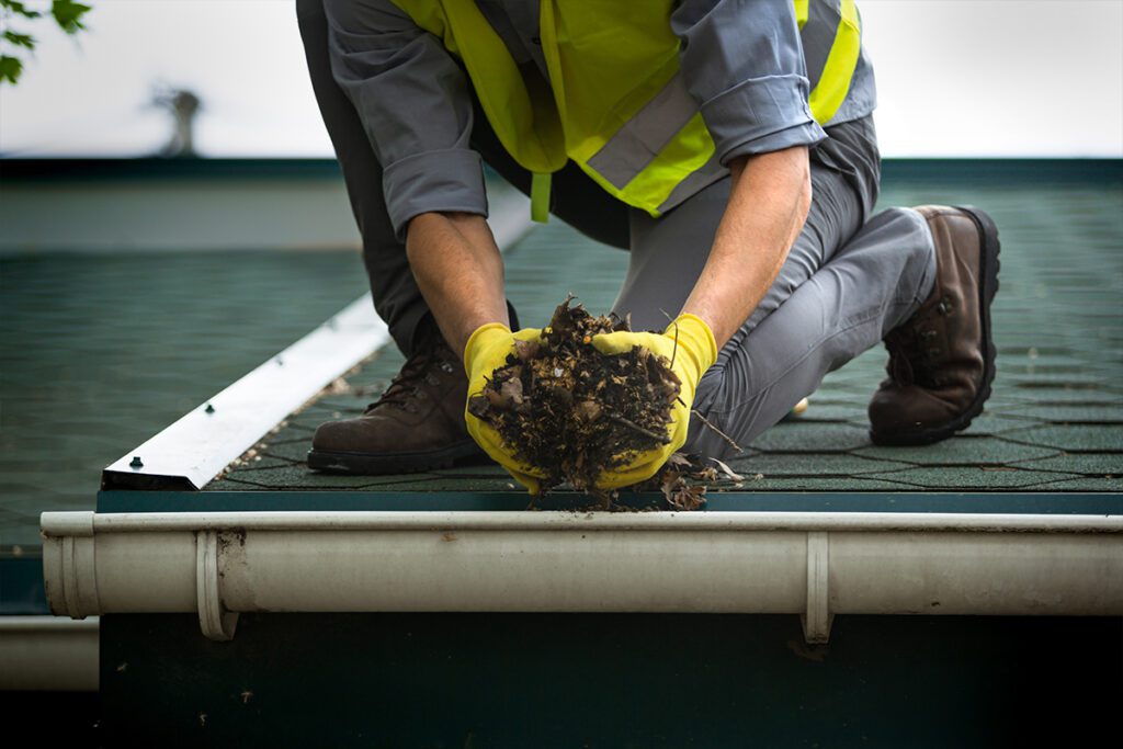 Signs You Need a Professional Gutter Cleaning